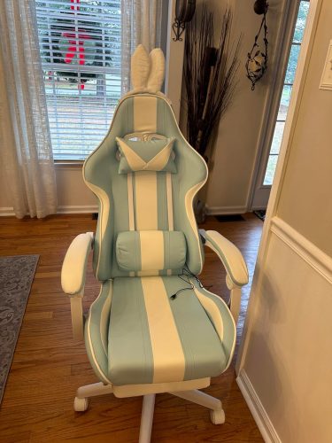 FERGHANA Kawaii Light Blue Gaming Chair with Bunny Ears, Ergonomic Cute Gamer Chair with Footrest and Massage, Racing Reclining photo review