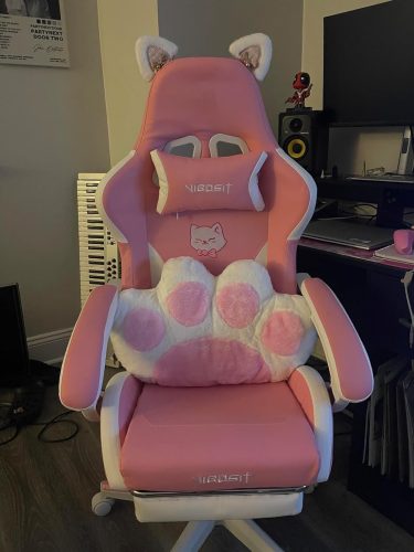 Pink Gaming Chair With Cat Paw Lumbar Cushion and Cat Ears Computer Armchair Reclining PC Game Chair for Girl Kids Teen Gamer photo review